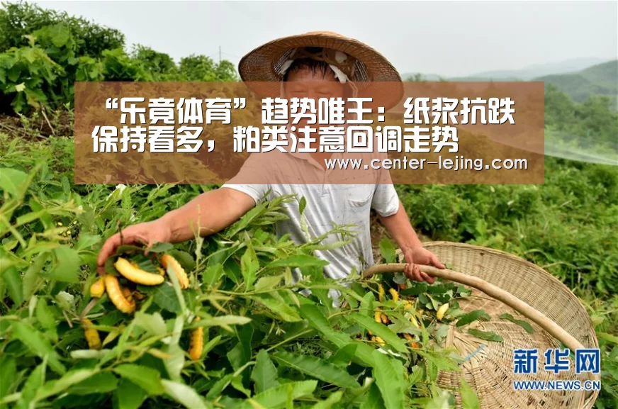 乐竟体育