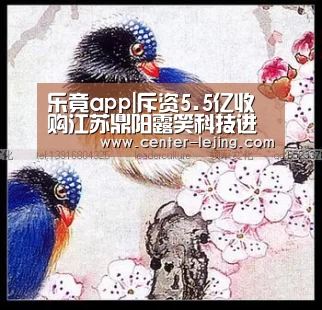 乐竟app|斥资5.5亿收购江苏鼎阳露笑科技进军光伏产业(图4) 乐竟娱乐