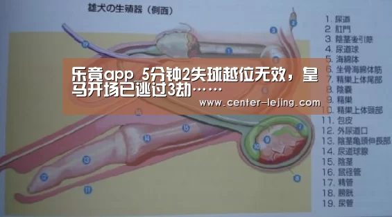 乐竟app