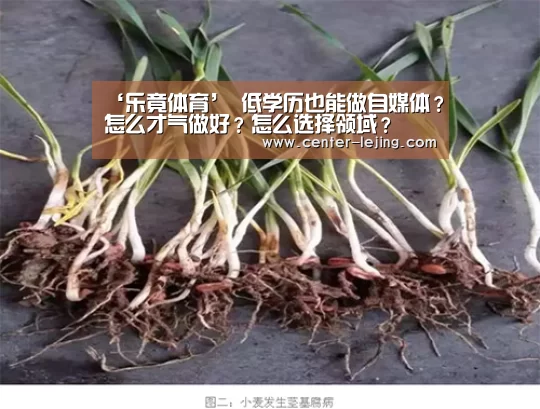 ‘乐竟体育’
低学历也能做自媒体？怎么才气做好？怎么选择领域
